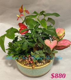 CODE 12798 - Greenery set with pot